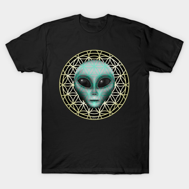 Grey Xenomorph Alien being on Flower of Life Symbol T-Shirt by KateVanFloof